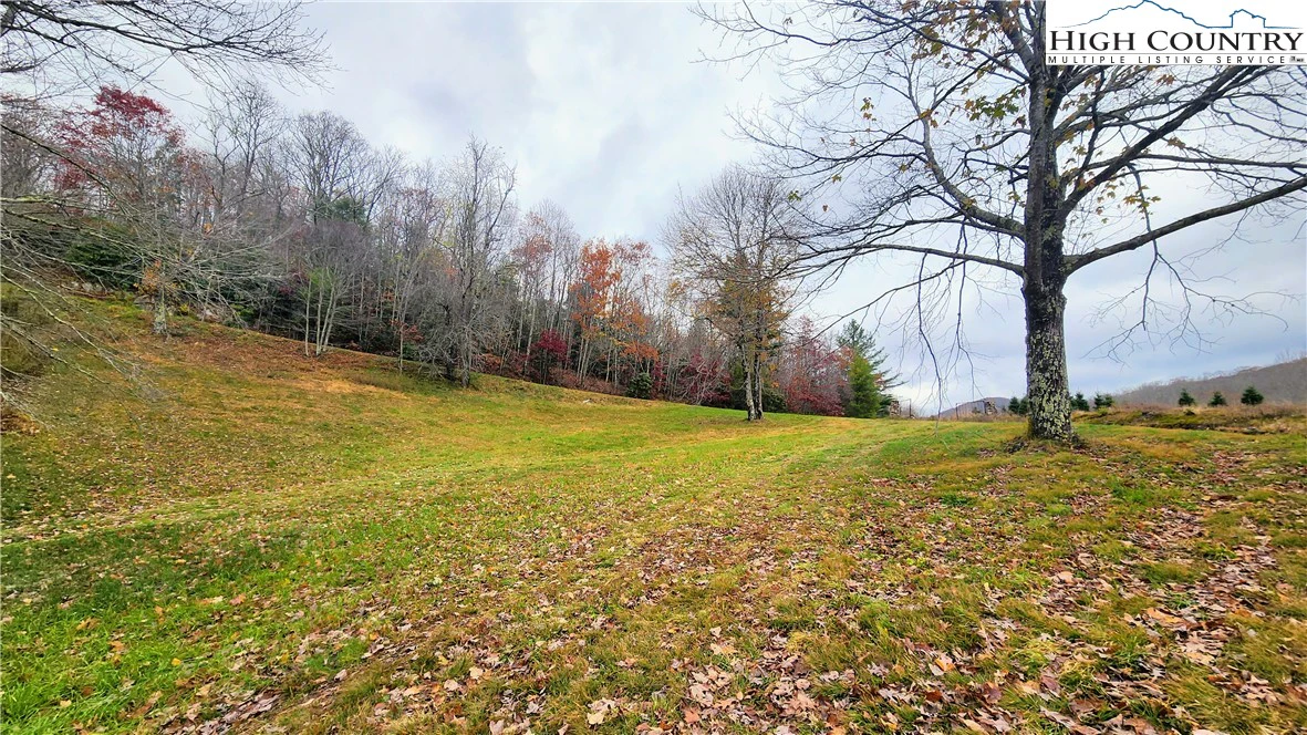 Image number 16 for the current listing