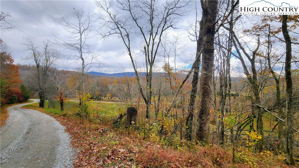 Image number 14 for the current listing