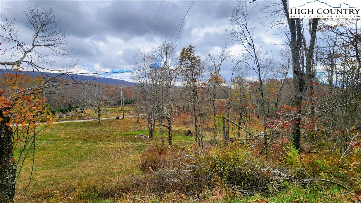 Image number 13 for the current listing