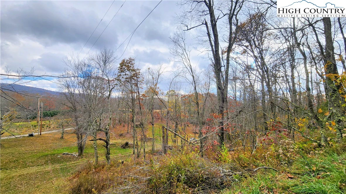 Image number 12 for the current listing
