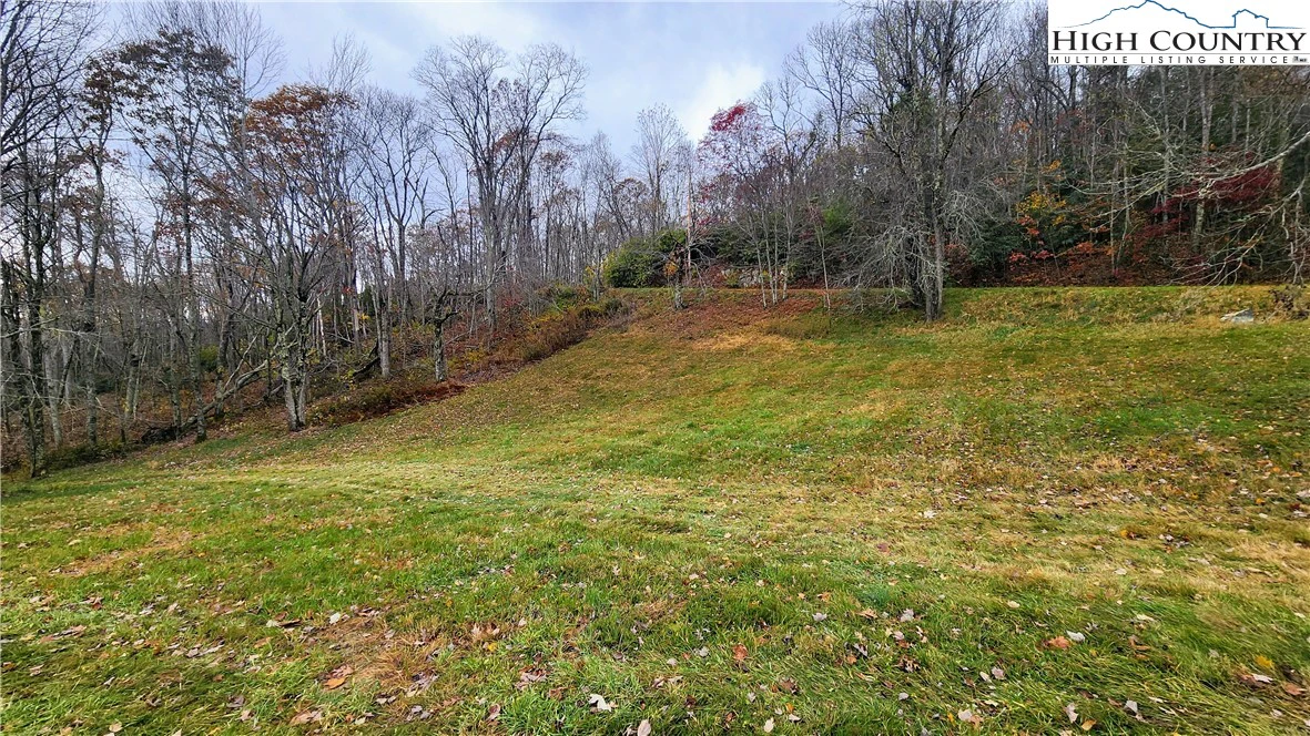 Image number 11 for the current listing
