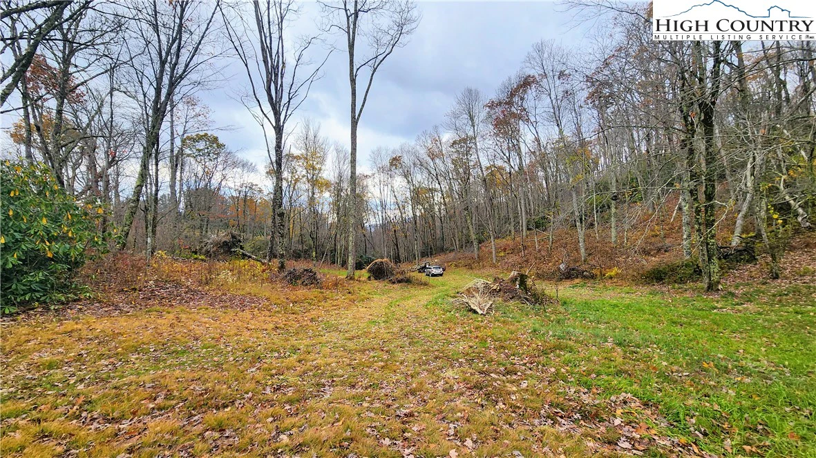 Image number 2 for the current listing