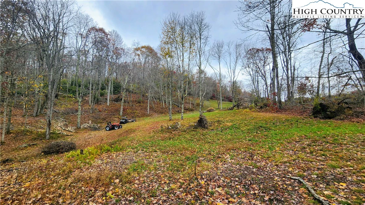 Image number 10 for the current listing