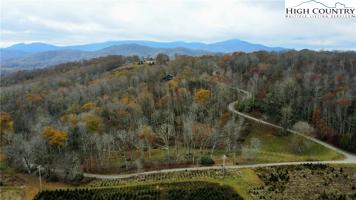 Image number 6 for the current listing