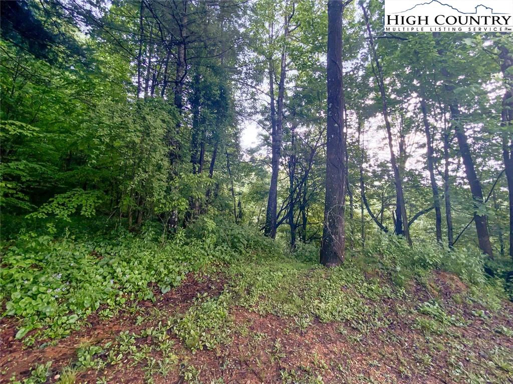 Image number 1 for the current listing