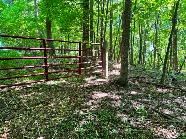 Image number 4 for the current listing