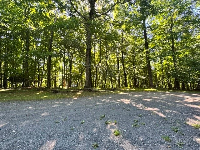 Image number 6 for the current listing