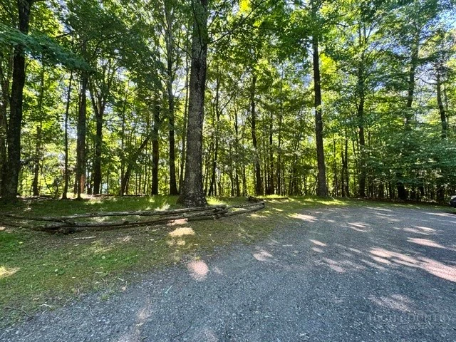 Image number 7 for the current listing
