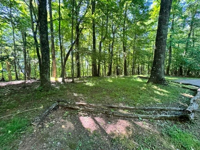 Image number 8 for the current listing