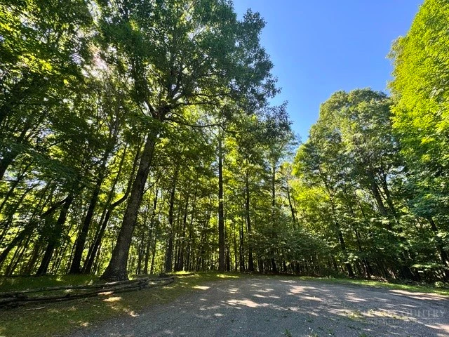 Image number 9 for the current listing
