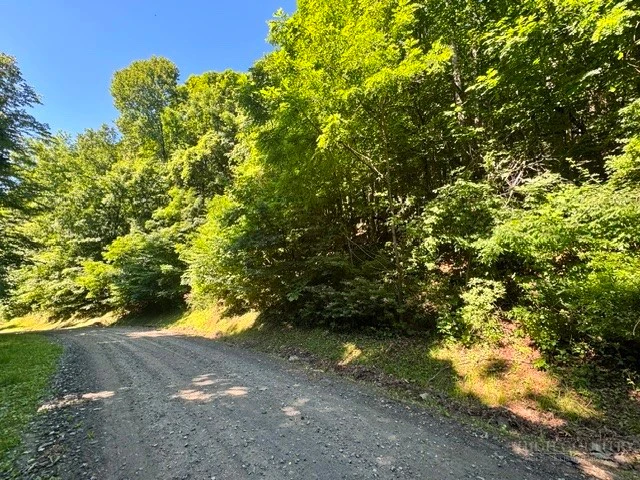 Image number 10 for the current listing