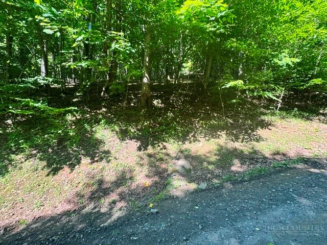 Image number 11 for the current listing