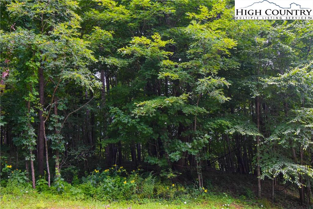 Image number 6 for the current listing