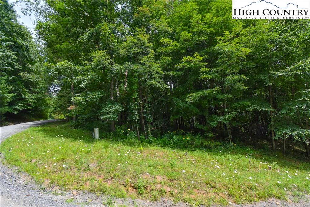 Image number 7 for the current listing