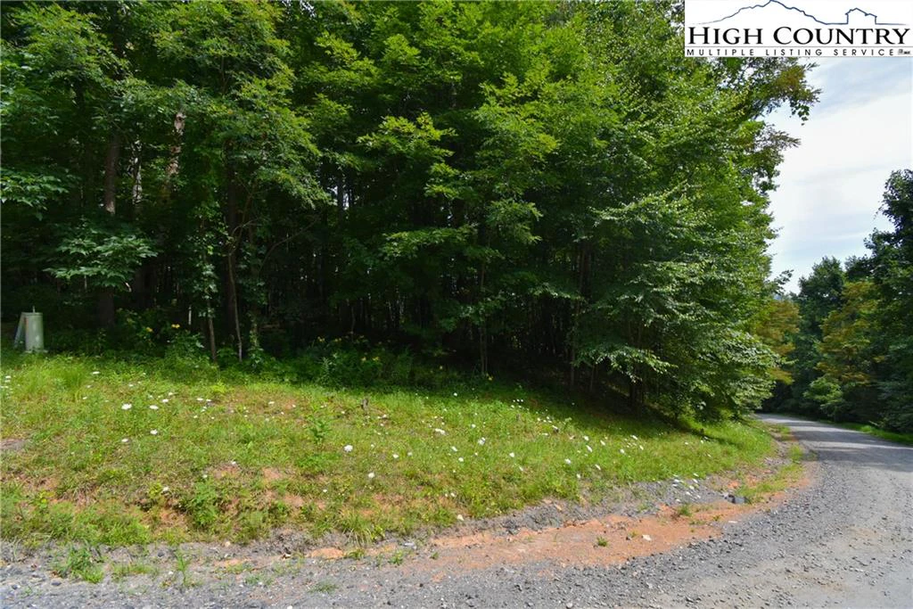 Image number 8 for the current listing