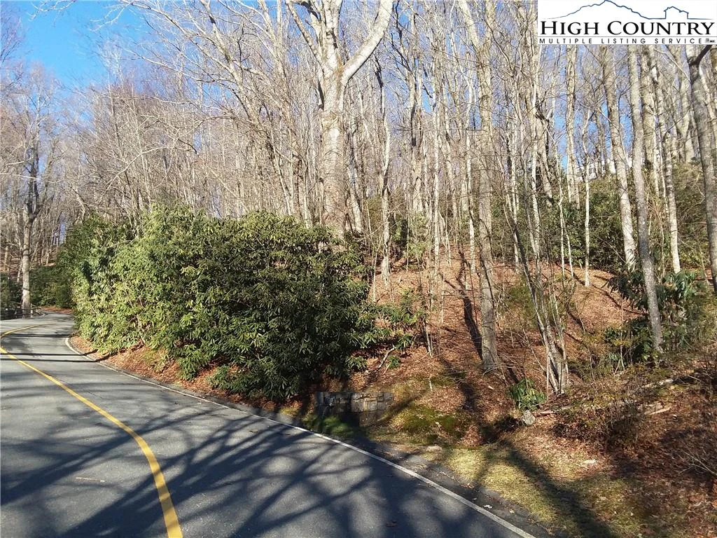 Image number 1 for the current listing