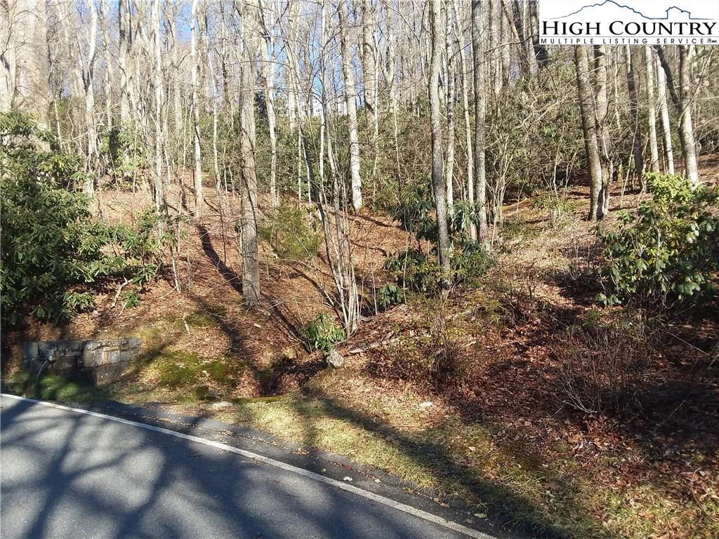 Image number 3 for the current listing