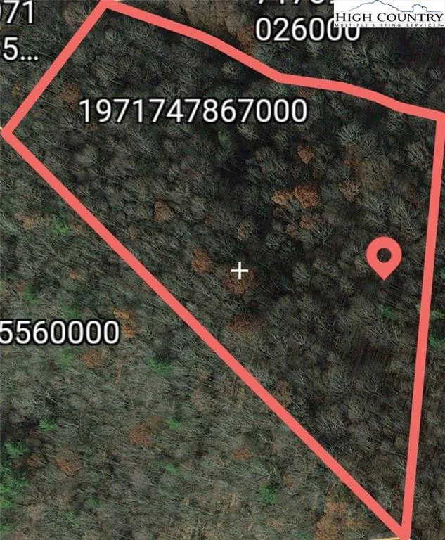 Image number 1 for the current listing