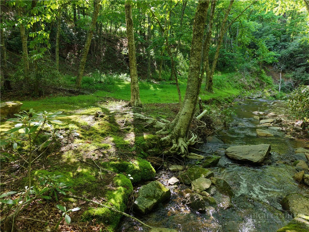 Image number 2 for the current listing