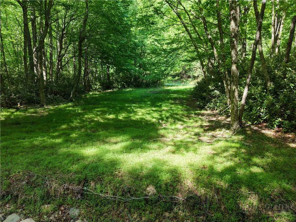 Image number 3 for the current listing
