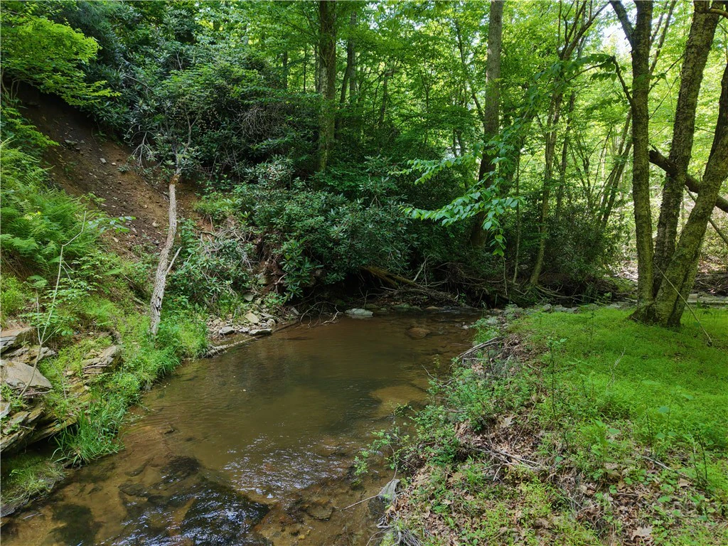 Image number 4 for the current listing