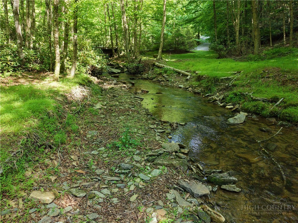 Image number 5 for the current listing