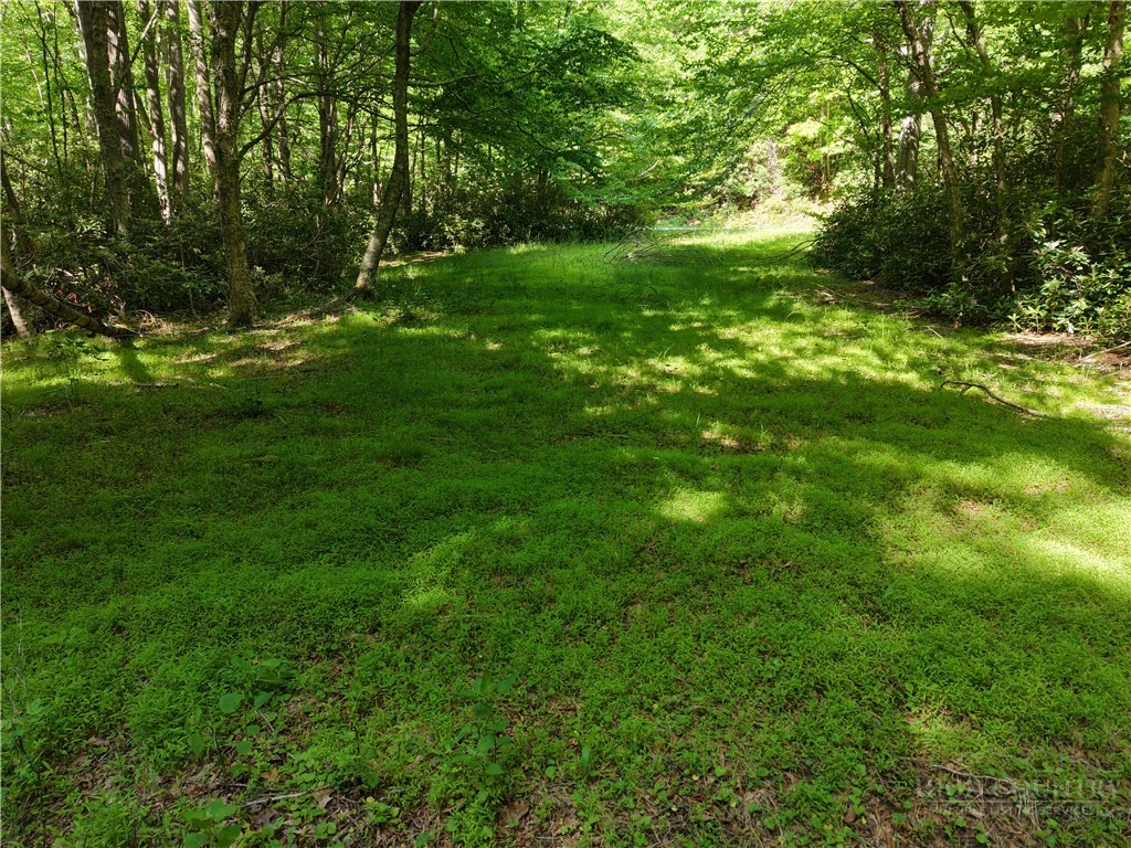 Image number 6 for the current listing