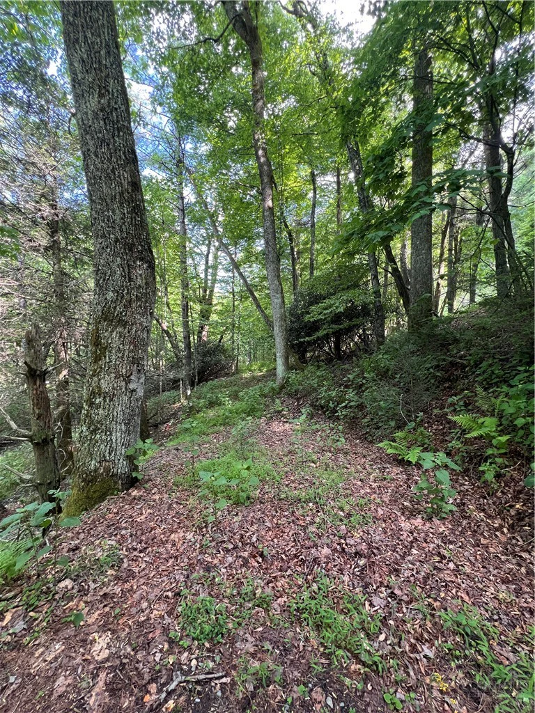Image number 9 for the current listing