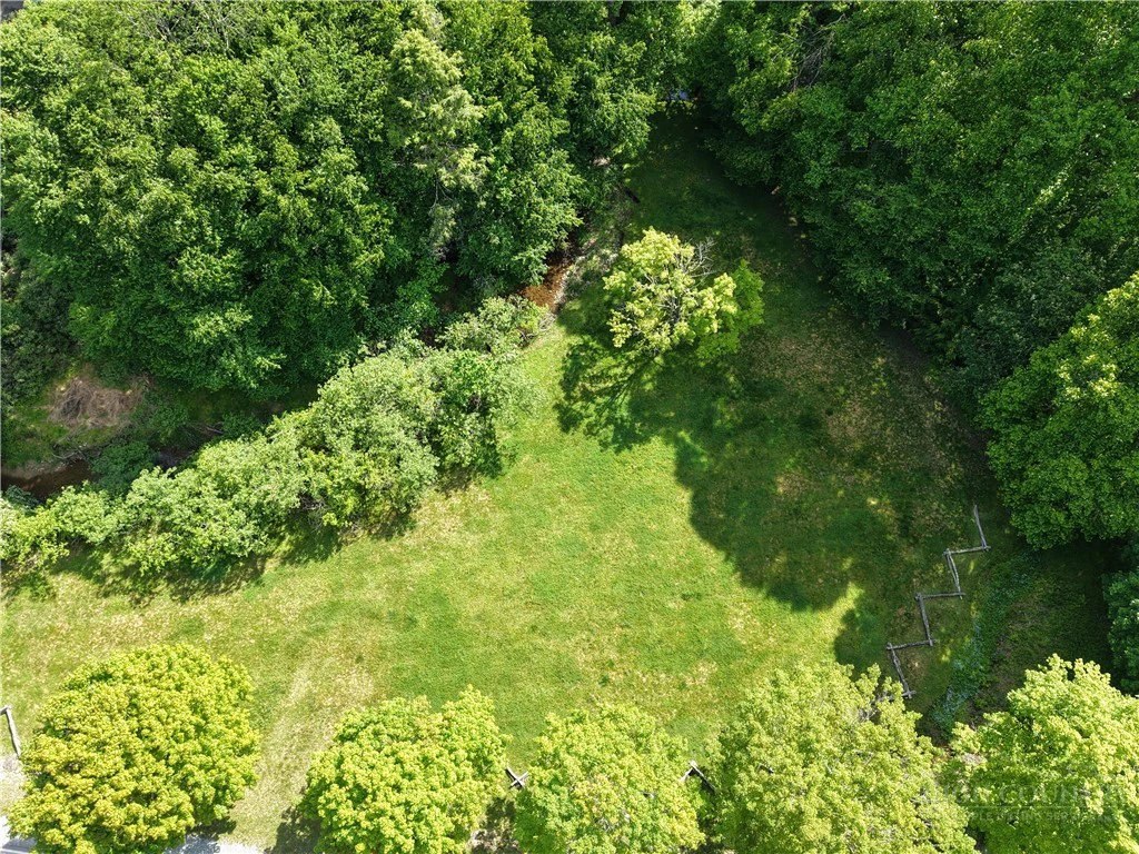 Image number 12 for the current listing