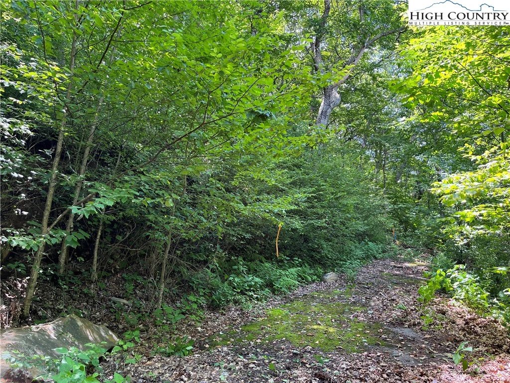 Image number 5 for the current listing
