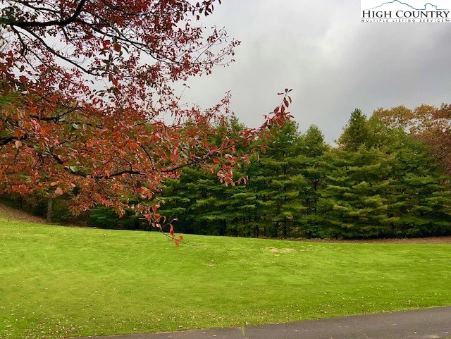 Image number 9 for the current listing