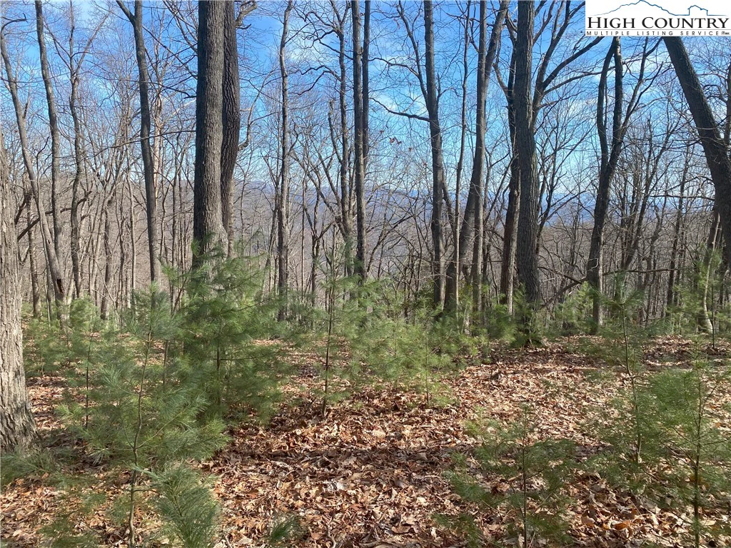 Image number 3 for the current listing