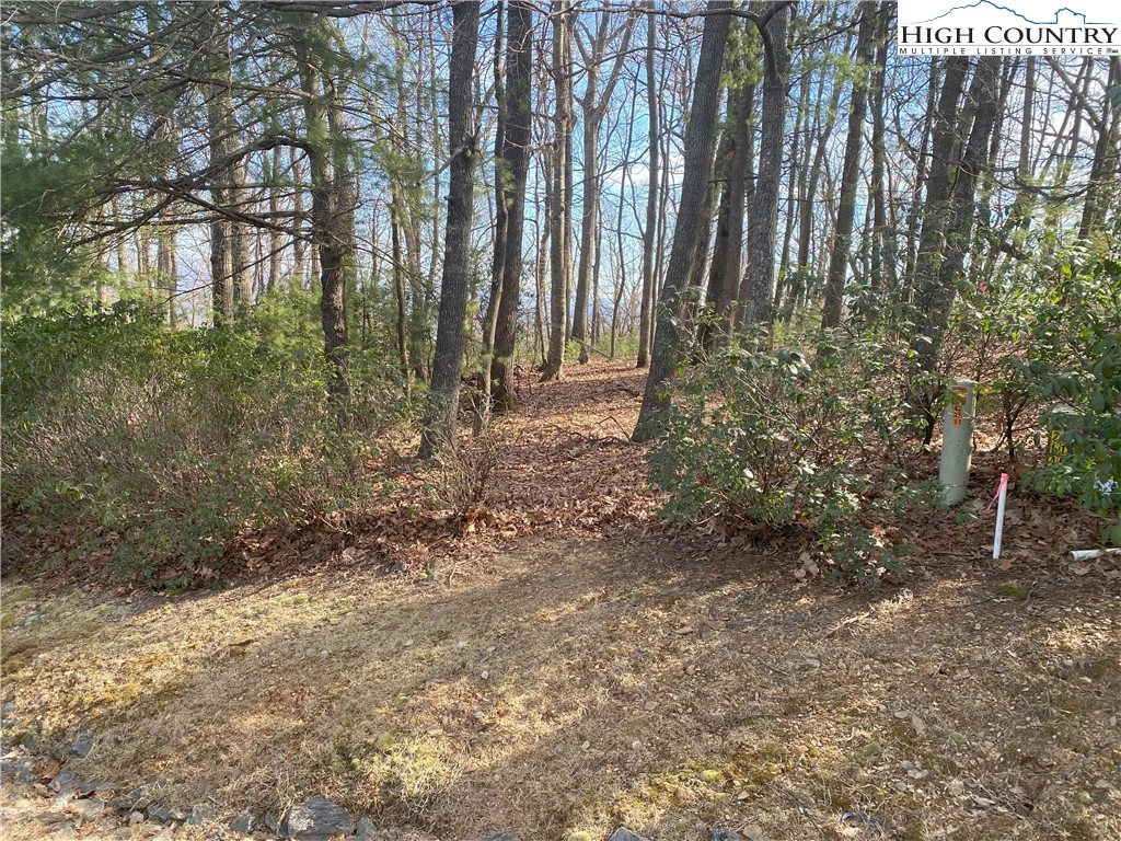 Image number 4 for the current listing