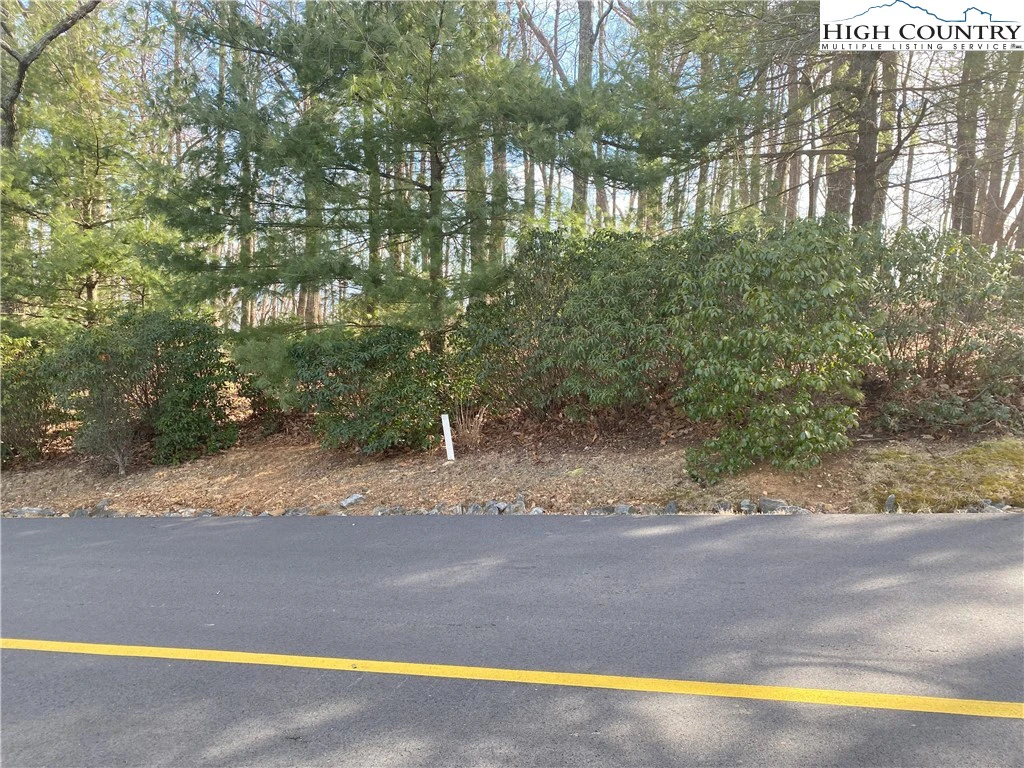 Image number 6 for the current listing
