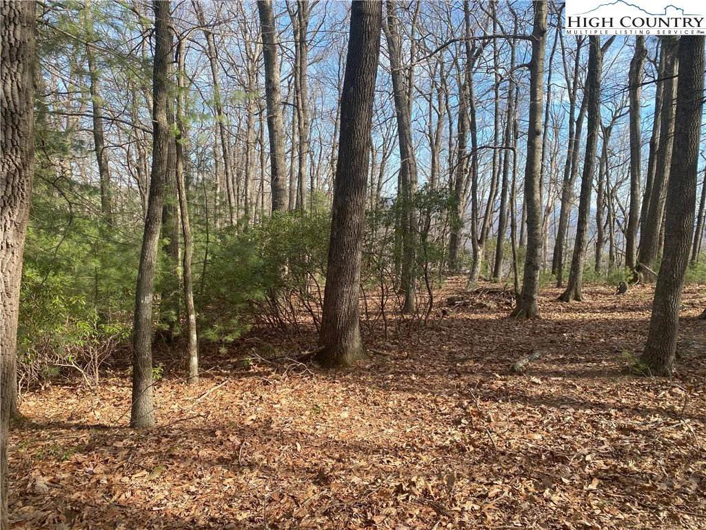 Image number 11 for the current listing