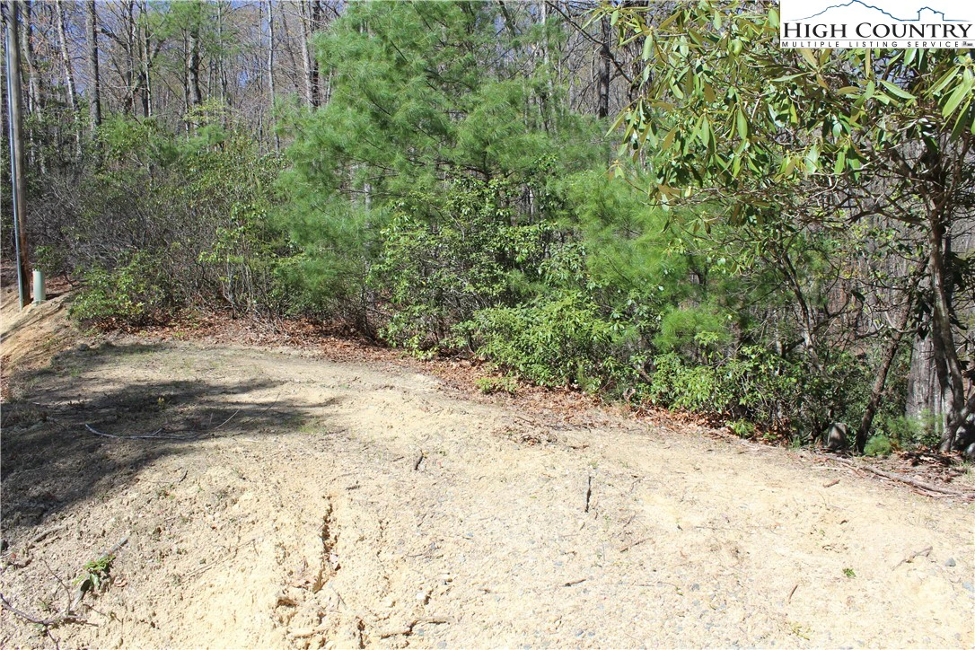 Image number 13 for the current listing