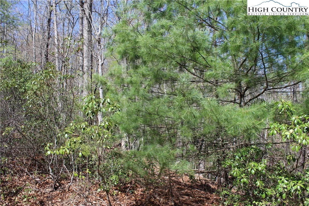 Image number 11 for the current listing
