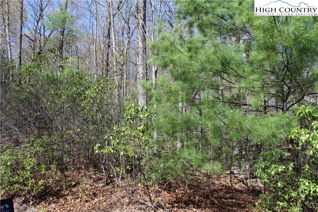 Image number 9 for the current listing