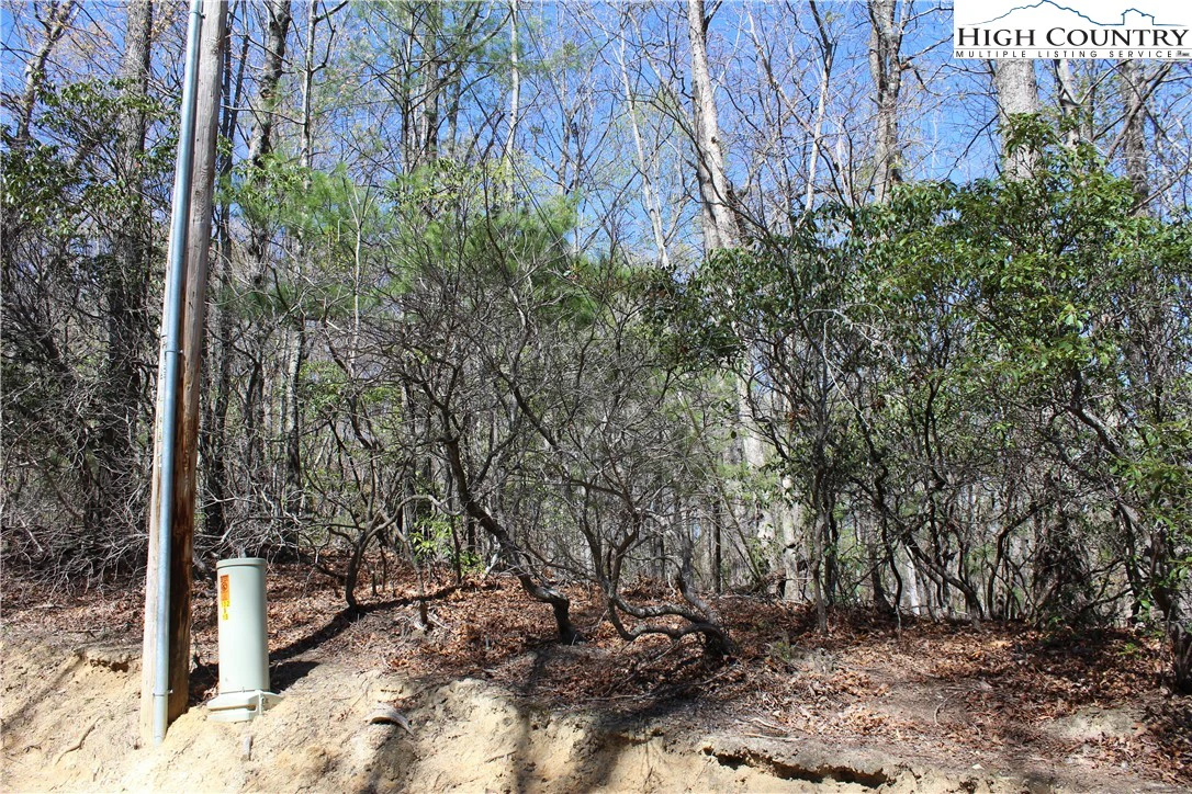 Image number 7 for the current listing