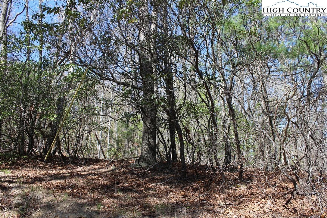 Image number 6 for the current listing