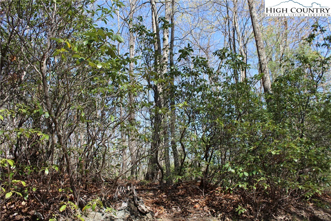 Image number 4 for the current listing