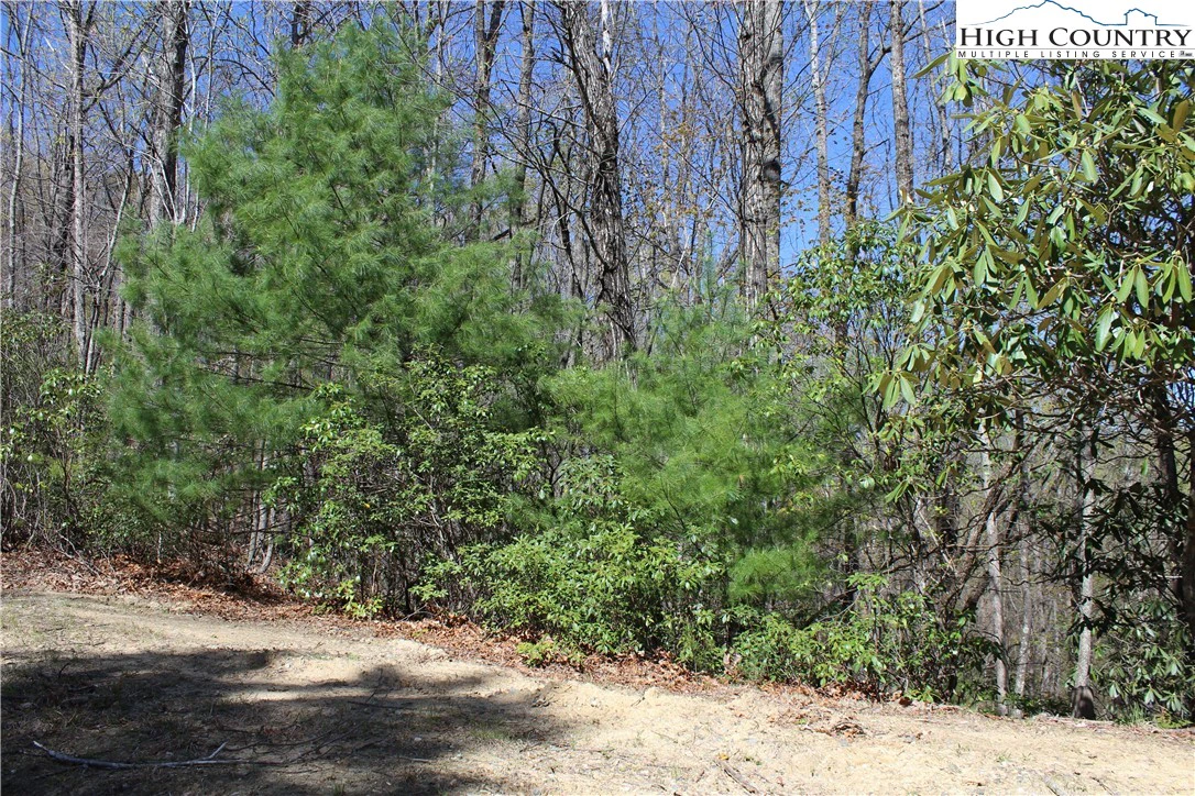 Image number 3 for the current listing