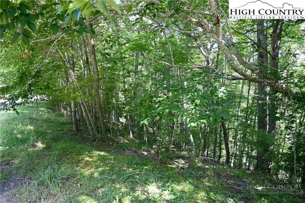 Image number 2 for the current listing