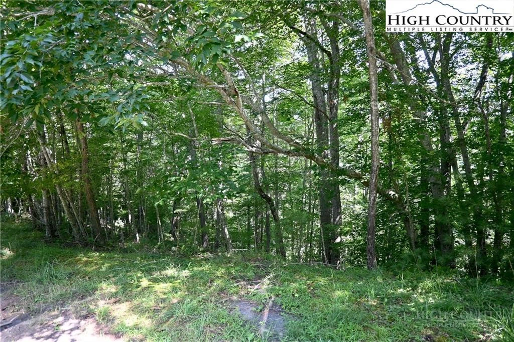 Image number 3 for the current listing