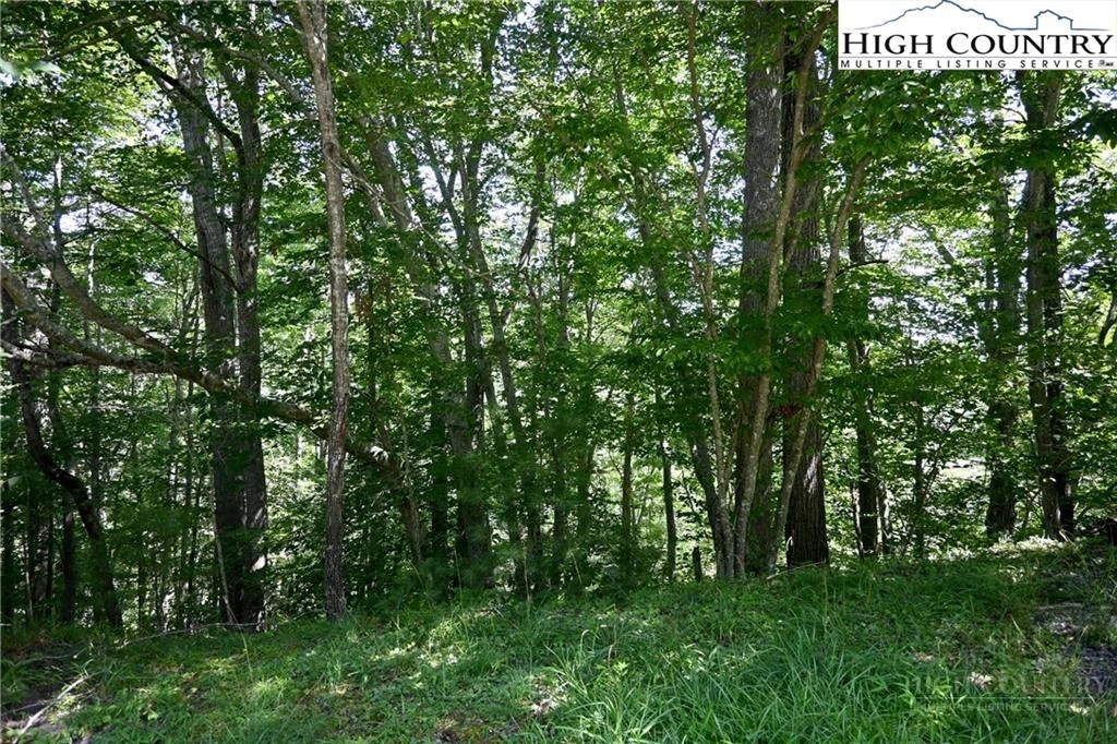 Image number 4 for the current listing