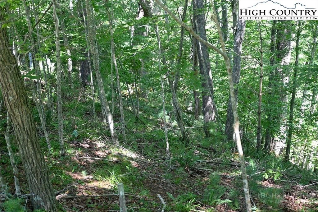 Image number 5 for the current listing