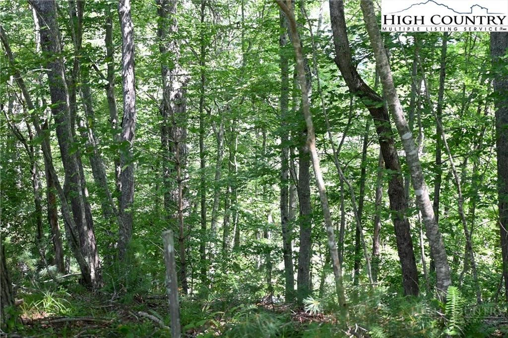 Image number 7 for the current listing