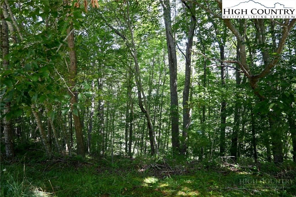 Image number 8 for the current listing