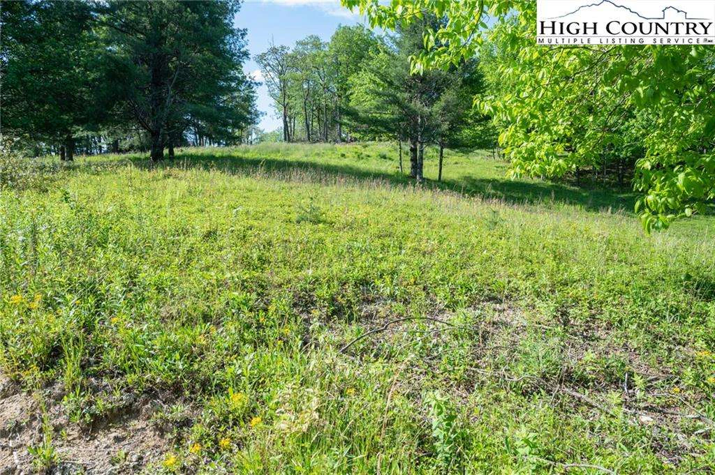 Image number 6 for the current listing