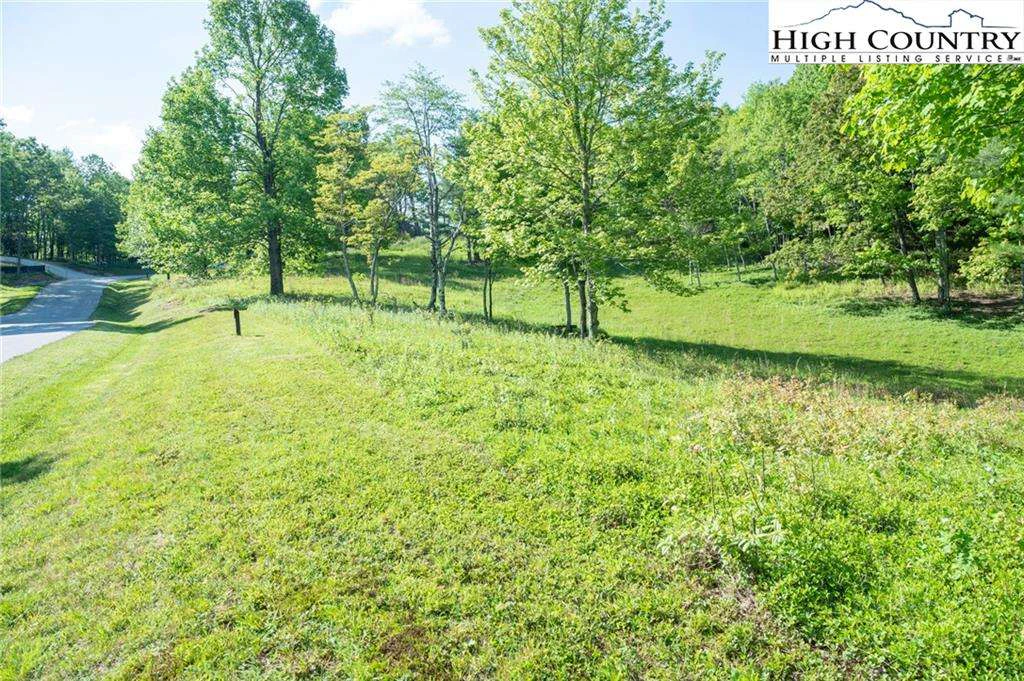 Image number 7 for the current listing